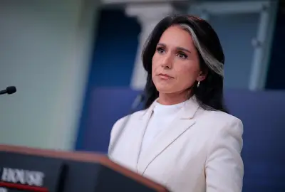 Tulsi Gabbard’s failure to distract from Epstein saga is no flop