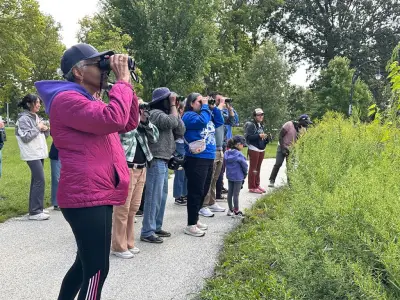 The frenzy and magic of birding