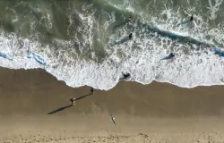Go to the beach, just don't get wet. Bacteria warnings issued ahead of July Fourth at 8 beaches